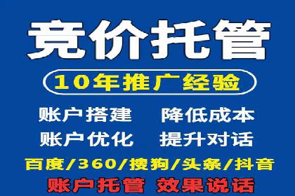 竞价推广策略解析：实战案例分析